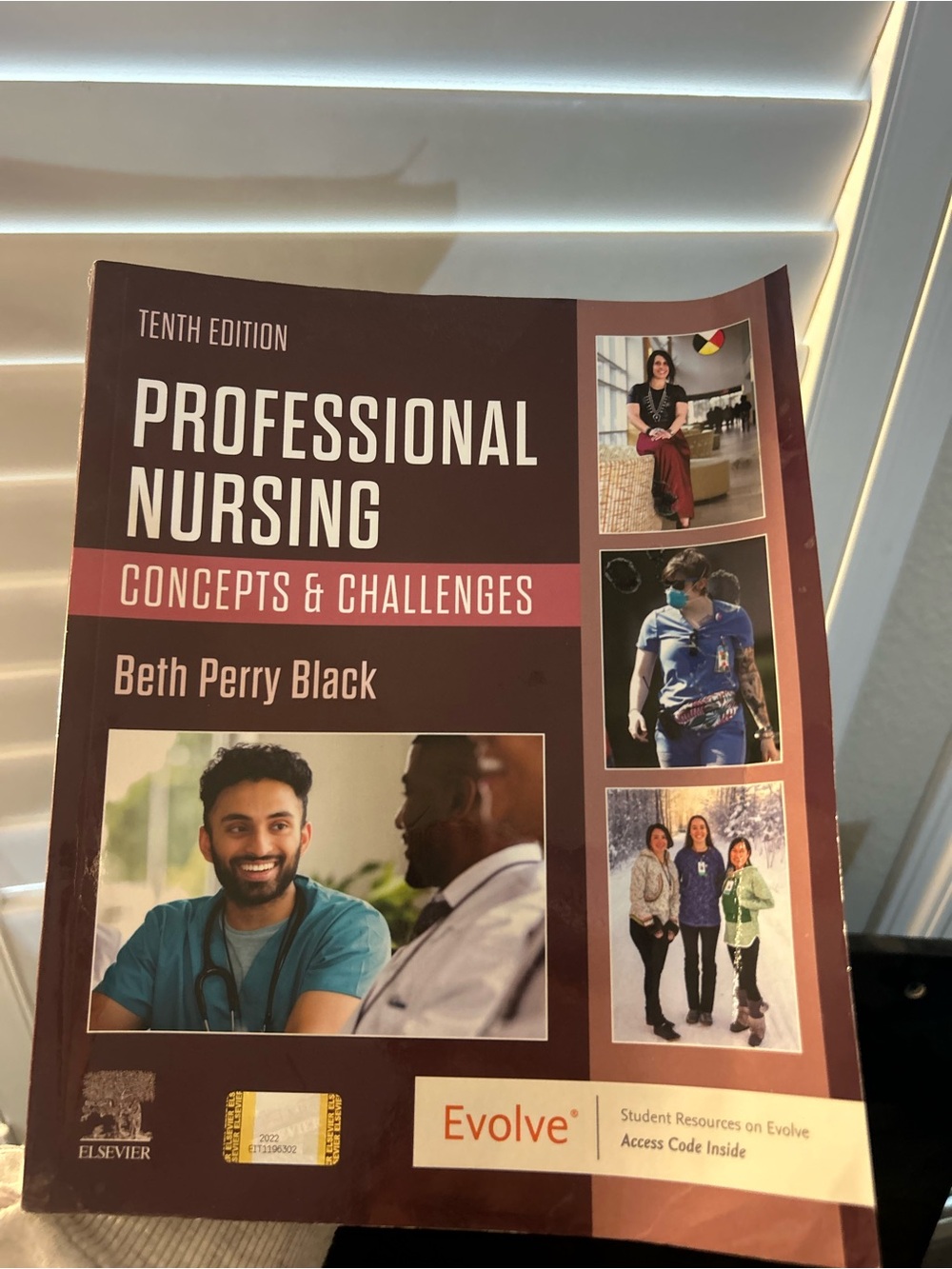 Beth Perry Black Professional Nursing Textbook